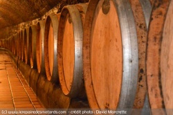 Caves à vins et vieillissement en fûts de chêne