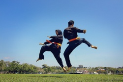 Silat Malaisien 