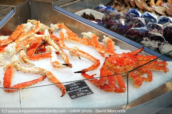 Le crabe royal : King Crab 