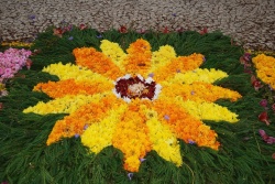 Tapis de fleur, Fête des fleurs de Madère