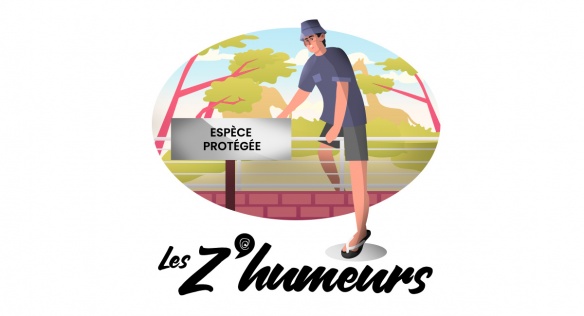 Z'humeurs : Le kéké est-il une espèce en voie de disparition ? Z'humeurs : Le kéké est-il une espèce en voie de disparition ?