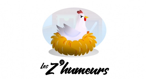 Nids de poule : mythe ou réalité ? Nids de poule : mythe ou réalité ?