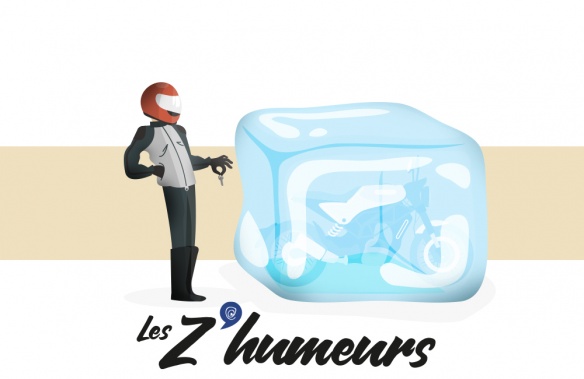 Les Z'humeurs