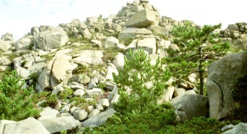 Virée faite en aout 2011, parti sans aucune préparation (roadbook et vêtements de pluie, mais une fois les virolos enclenchés on ne s'arrête plus. Les paysages changent d'un coteau à l'autre, et d'une province à l'autre. On ne croise quasiment personne, hormis des moutons et des vaches. La pluie a Piedrafita do Cebreiro m'a empêché de continuer par les petites routes, donc retour via voie rapide et trempage jusqu'à l'os.